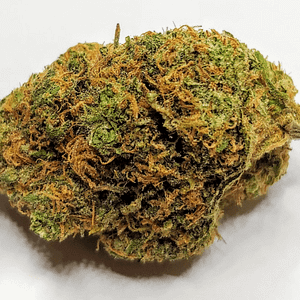 Buy Tangilope Marijuana Strain UK