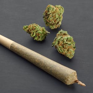 Marijuana Pre Rolled Joints UK